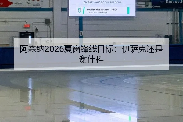阿森纳2026夏窗锋线目标：伊萨克还是谢什科
