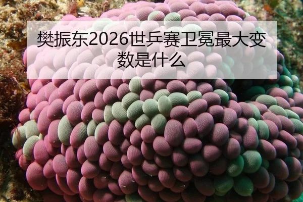 樊振东2026世乒赛卫冕最大变数是什么